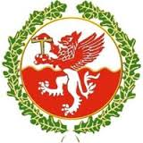 纽卡斯尔城FC