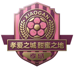 宜昌队